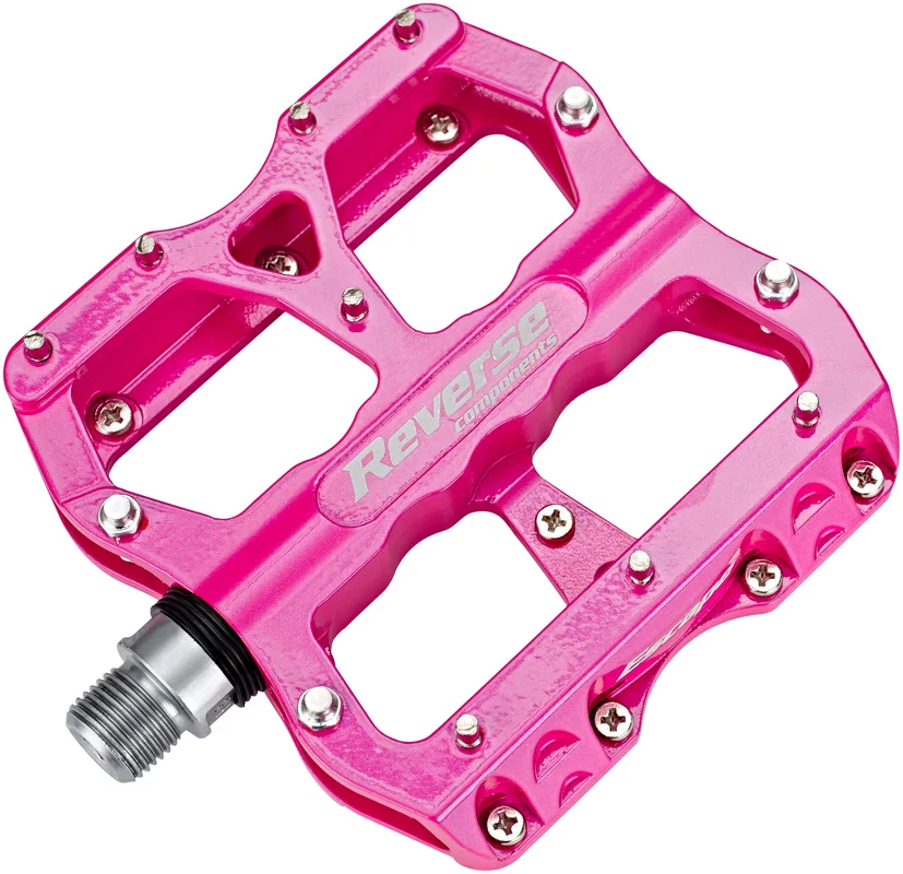 bikester859702
