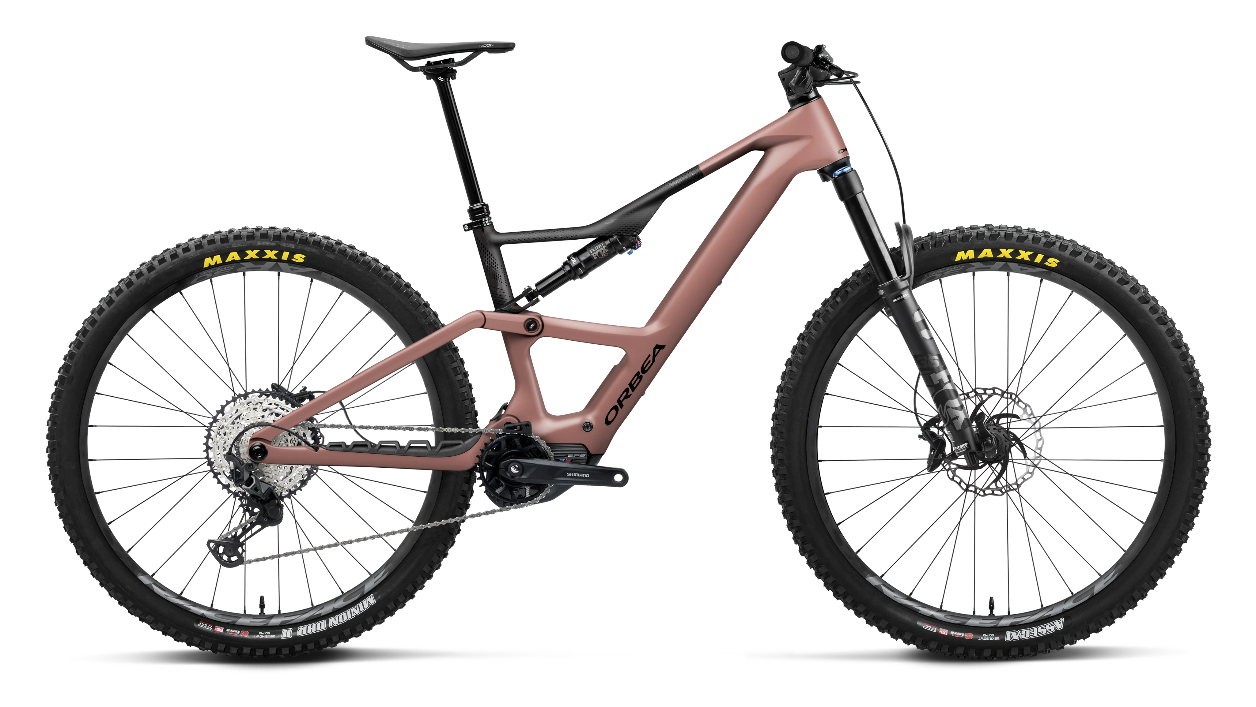 culturevelo202610182015161106466