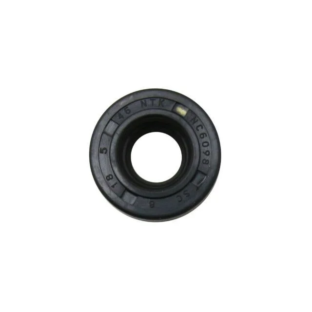 motoscoot1008529