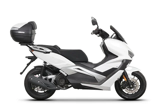 motoscoot1028889