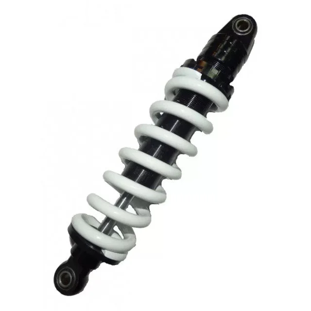 motoscoot1075055