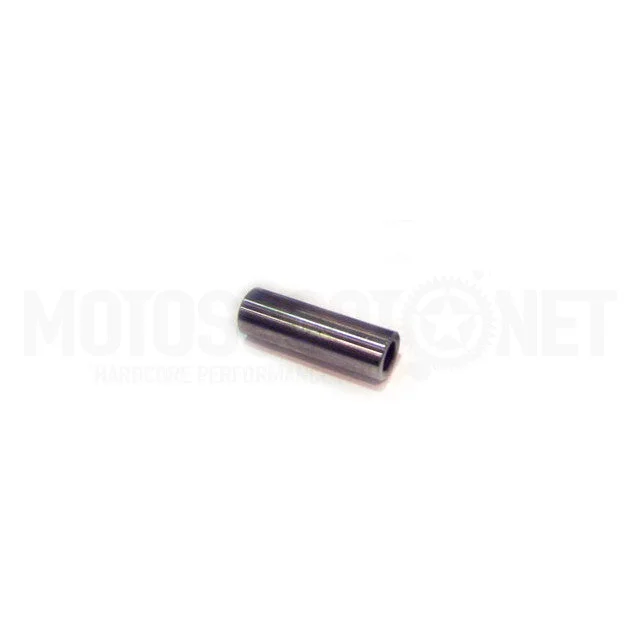motoscoot1103796