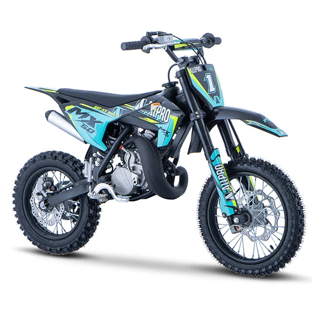 motoscoot1108419