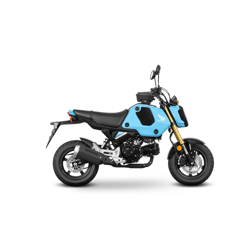 motoscoot1196933
