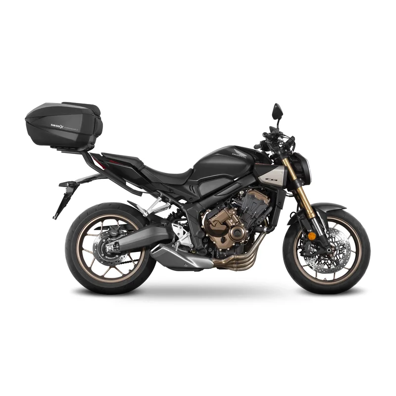 motoscoot1199093