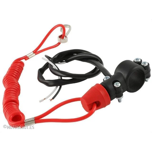 motoscoot849741