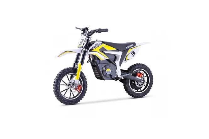 pitrider202610181323331030389