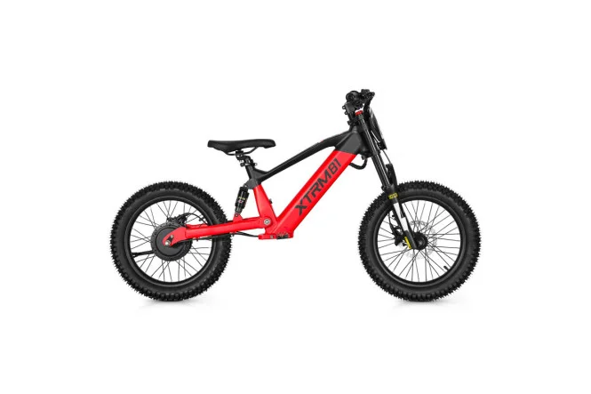 pitrider202610181339311033794