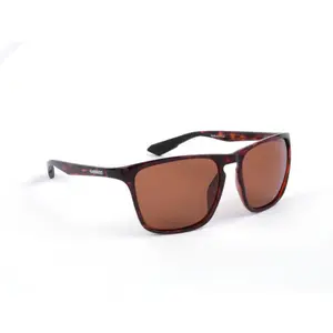 velo-store-1202610190254021172687