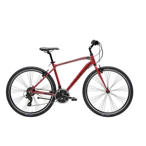 velo-store-1202610191303481268602