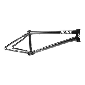 velo-store-1202610191759111316290