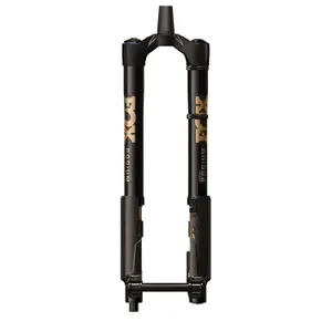 velo-store-12026102021533359113