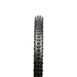 velo-store-120261021123302161110