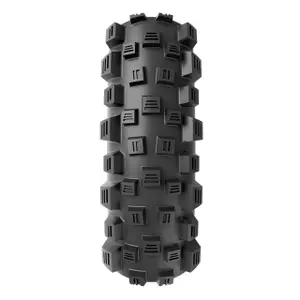 velo-store-120261022032604260416