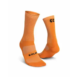 velo-store-2202610190723111209863