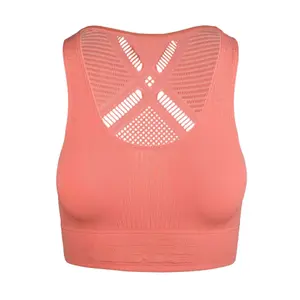 velo-store-2202610200317481411581