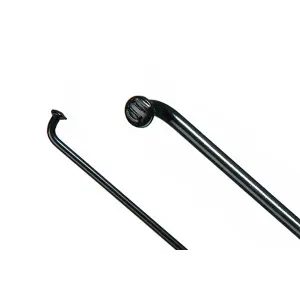 velo-store-22026102019272639000