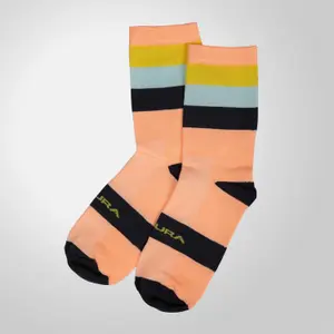 velo-store-220261022200032423992