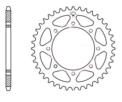 velototal202610181218451016656