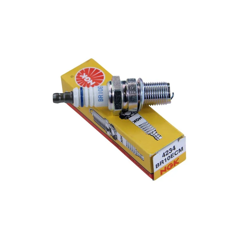 velototal202610181316371028749